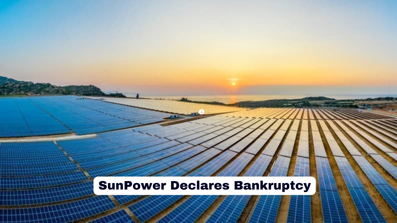 SunPower Declares Bankruptcy